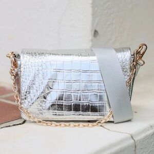 Caroline Hill Dakota Platinum Crossbody ntw